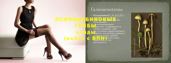 apvp Корсаков