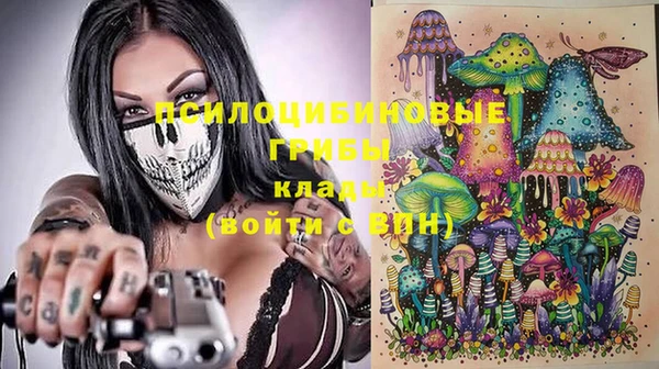 шишки Красноперекопск